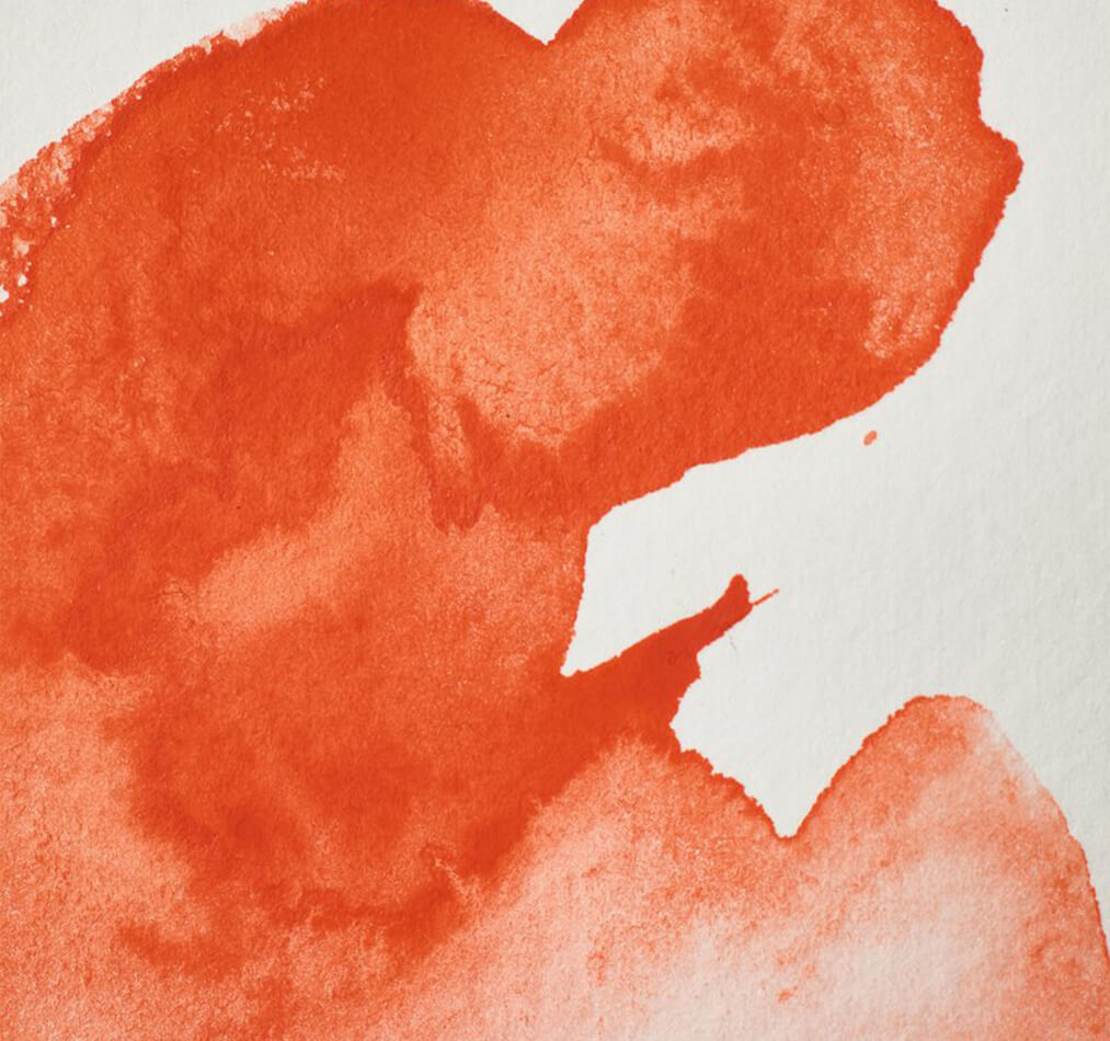winsor newton akvarel Fields orange